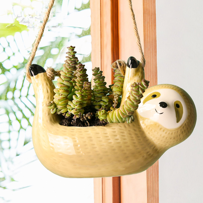 SLOTH POT